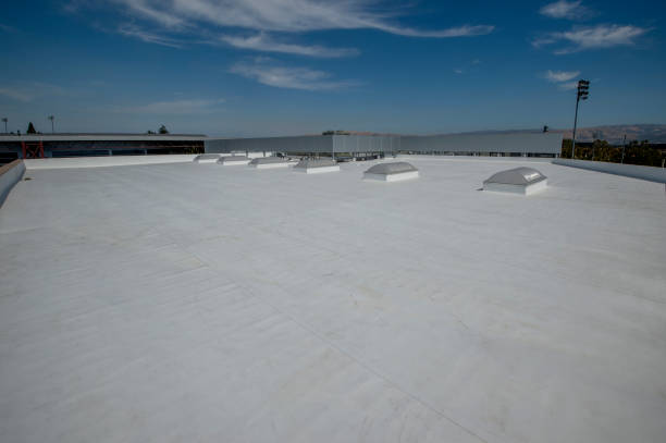 Best Roof Coating and Sealing  in Lus Valley Marinwood, CA
