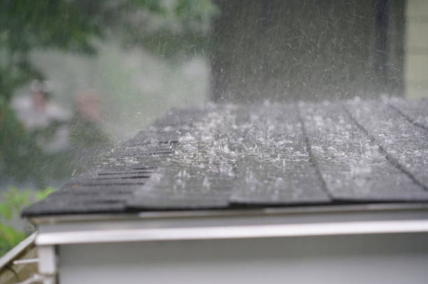 Best Asphalt Shingles Roofing  in Lus Valley Marinwood, CA