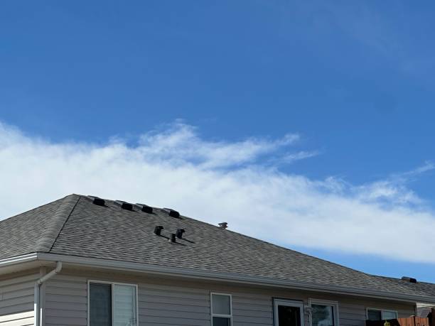 Best Metal Roofing Installation  in Lus Valley Marinwood, CA